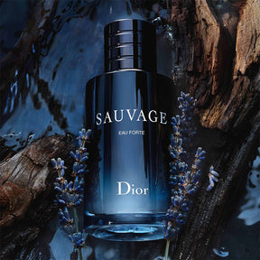 DSvg Pour Homme Absolu Parfum